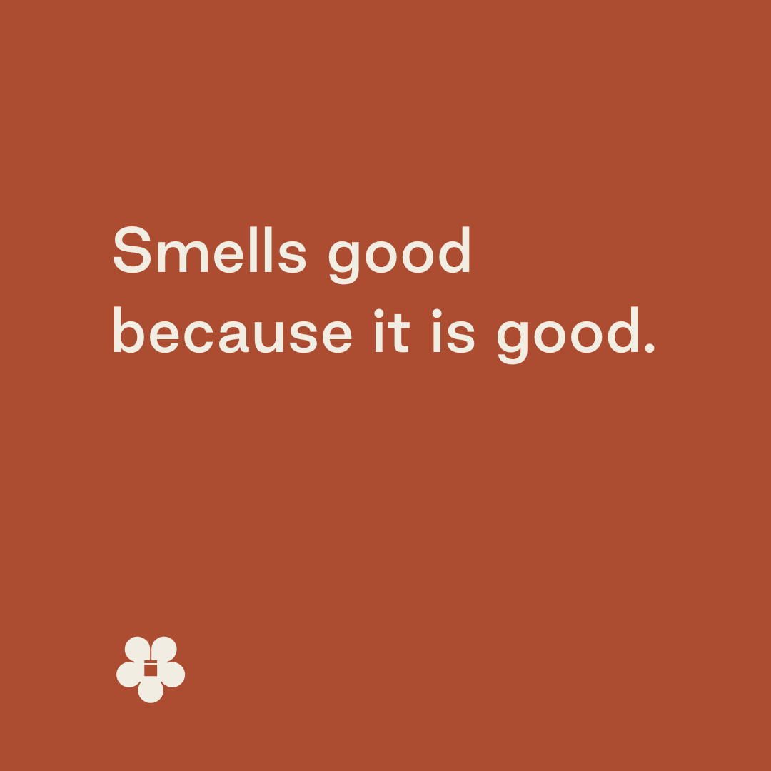 Undercoat/Pigmented Sealer