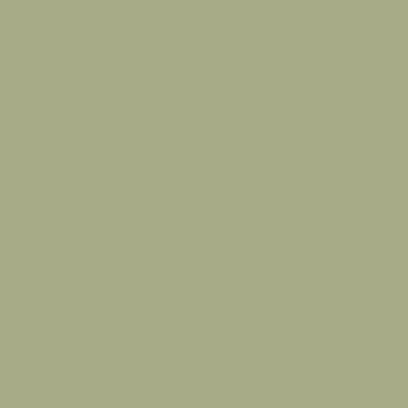 Wall Paint - Back Country