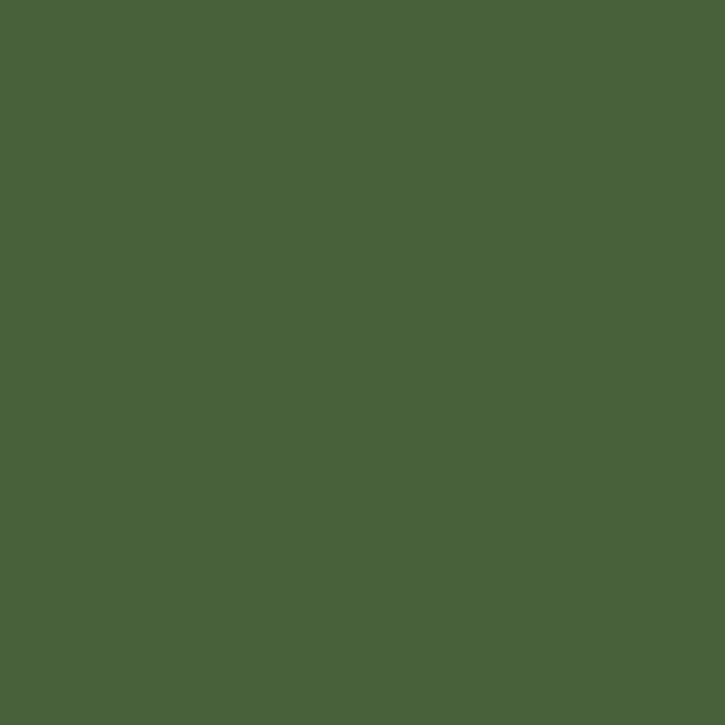 Wall Paint - Bush Block