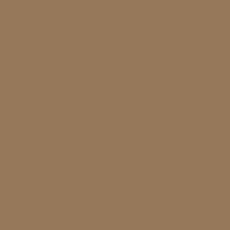 Wall Paint - Cold Brew