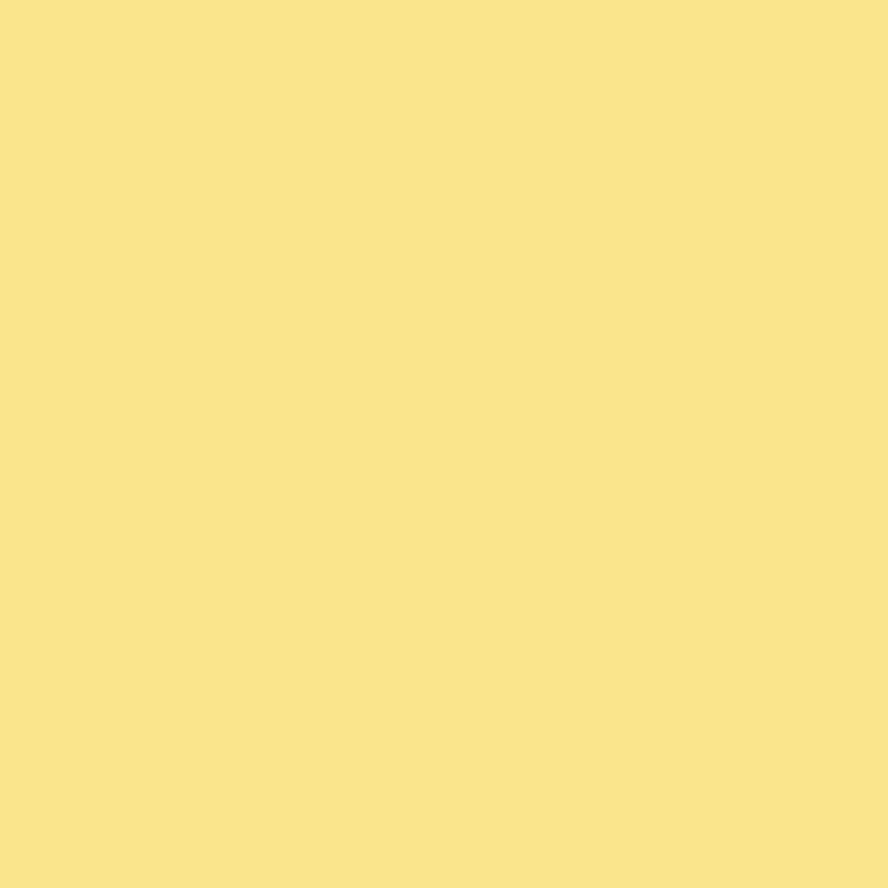 Enamel & Exterior Paint - Custard Square
