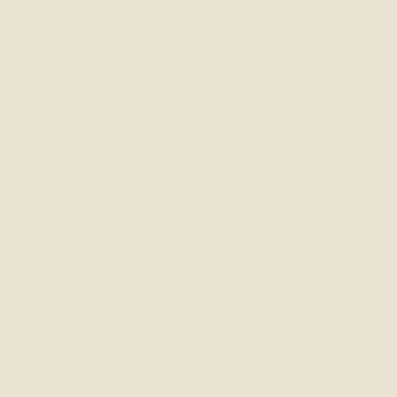 Ceiling Paint - Driftwood