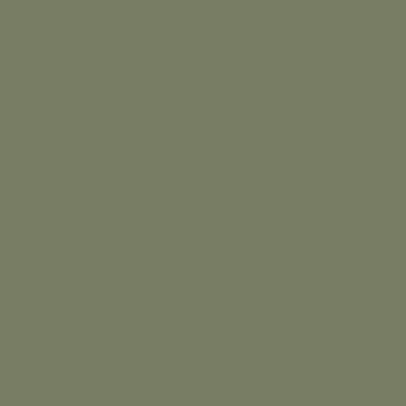 Wall Paint - Garden Path