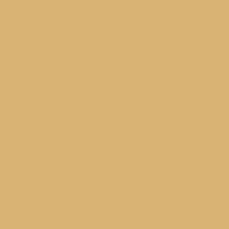Enamel & Exterior Paint - Ginger Beer
