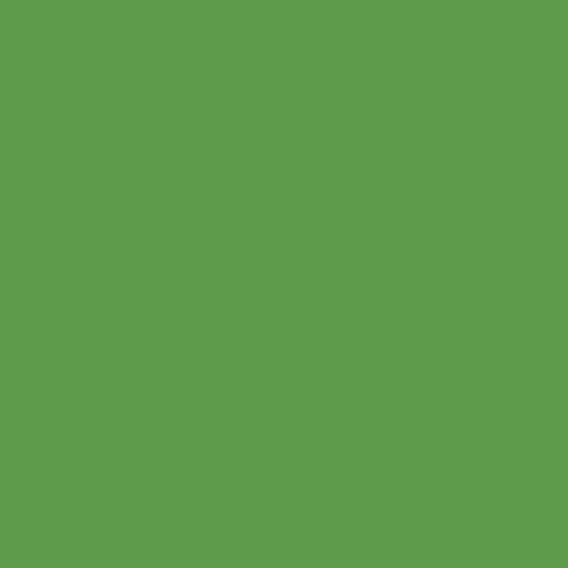 Enamel & Exterior Paint - Kakapo