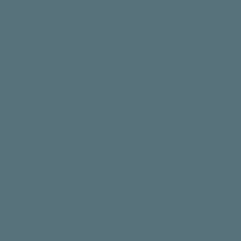 Enamel & Exterior Paint - Little Blue Penguin