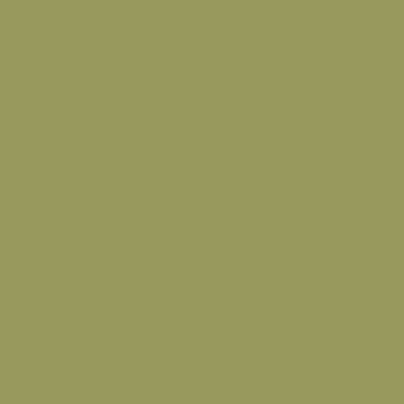 Enamel & Exterior Paint - Matcha