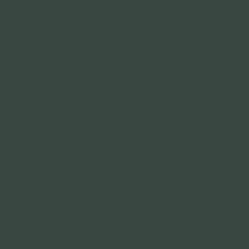 Wall Paint - Nocturnal