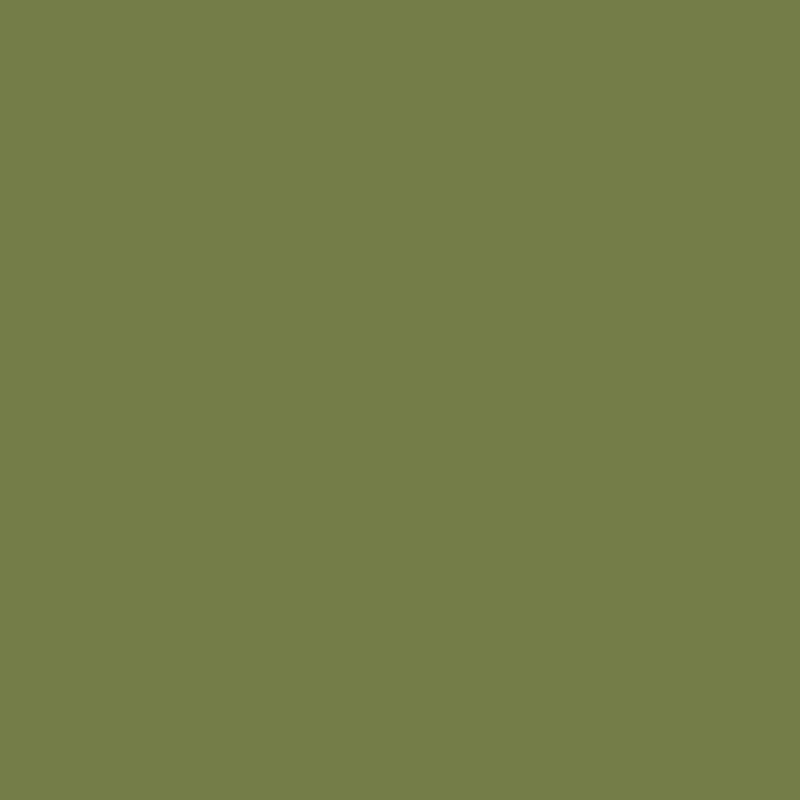 Enamel & Exterior Paint - Olive Grove