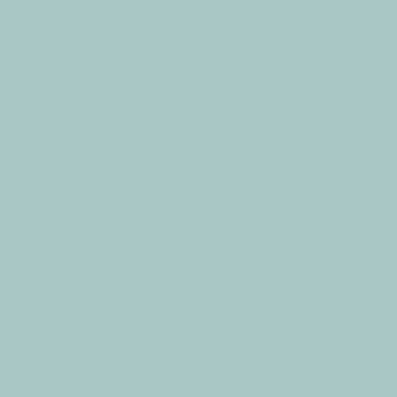 Enamel & Exterior Paint - Opera in the Park