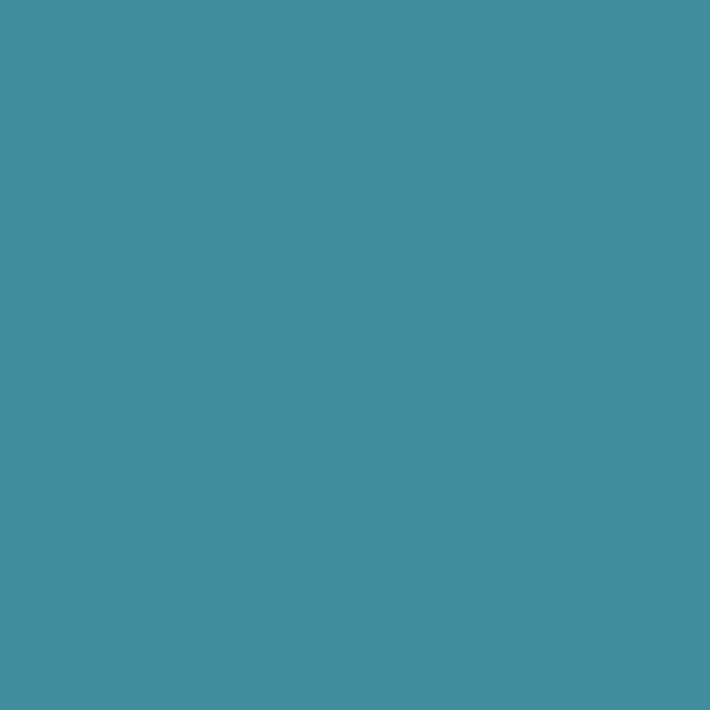 Enamel & Exterior Paint - Paua Shell