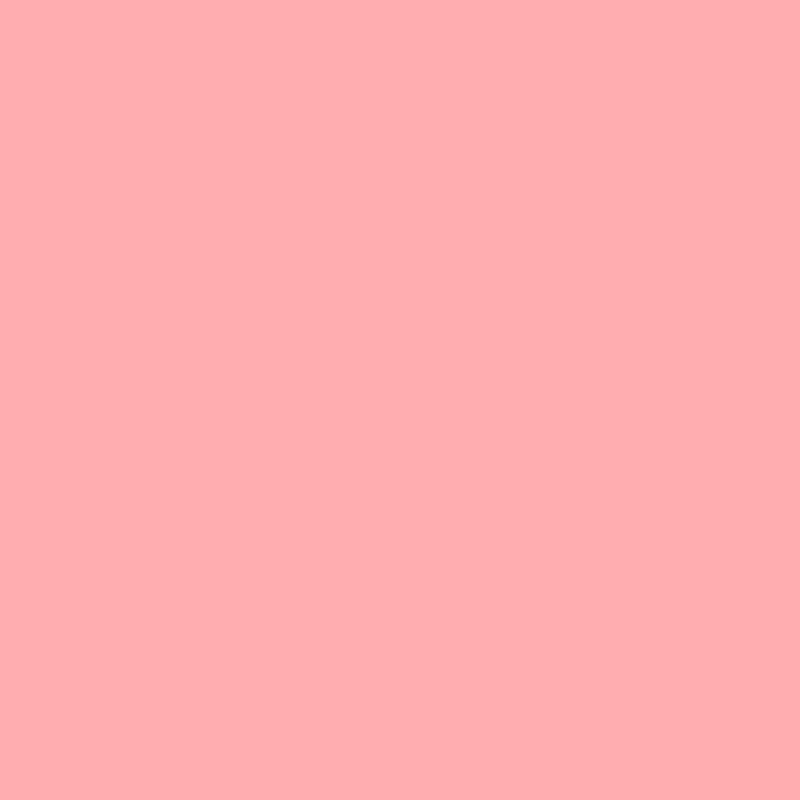 Wall Paint - Poise