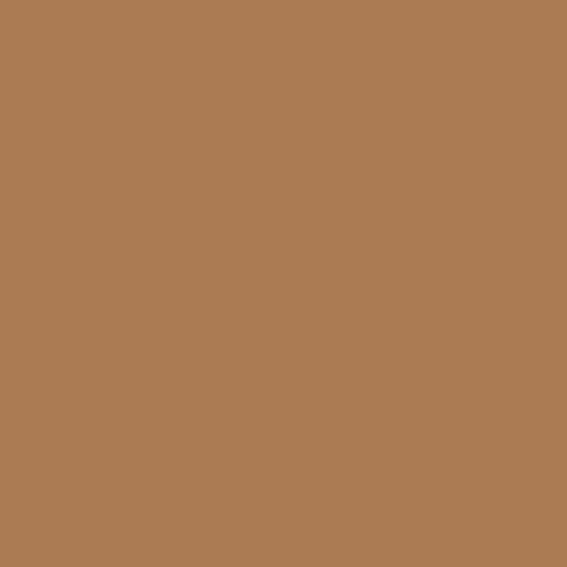 Wall Paint - Poured Cinnamon