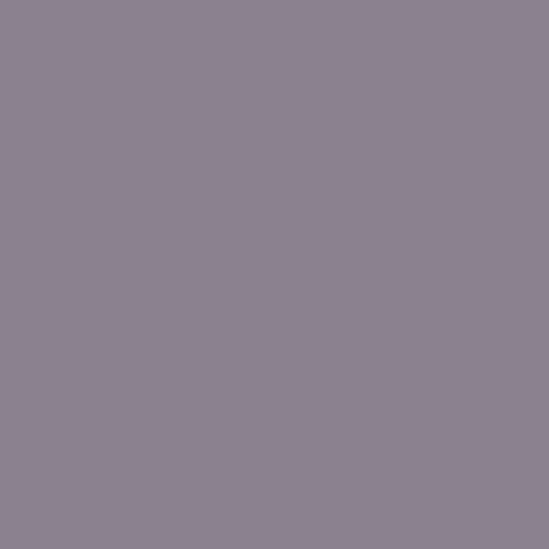 Enamel & Exterior Paint - Professor Plum