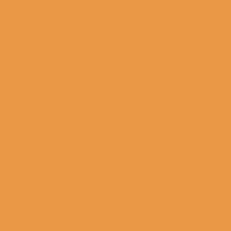 Enamel & Exterior Paint - Rise n Shine