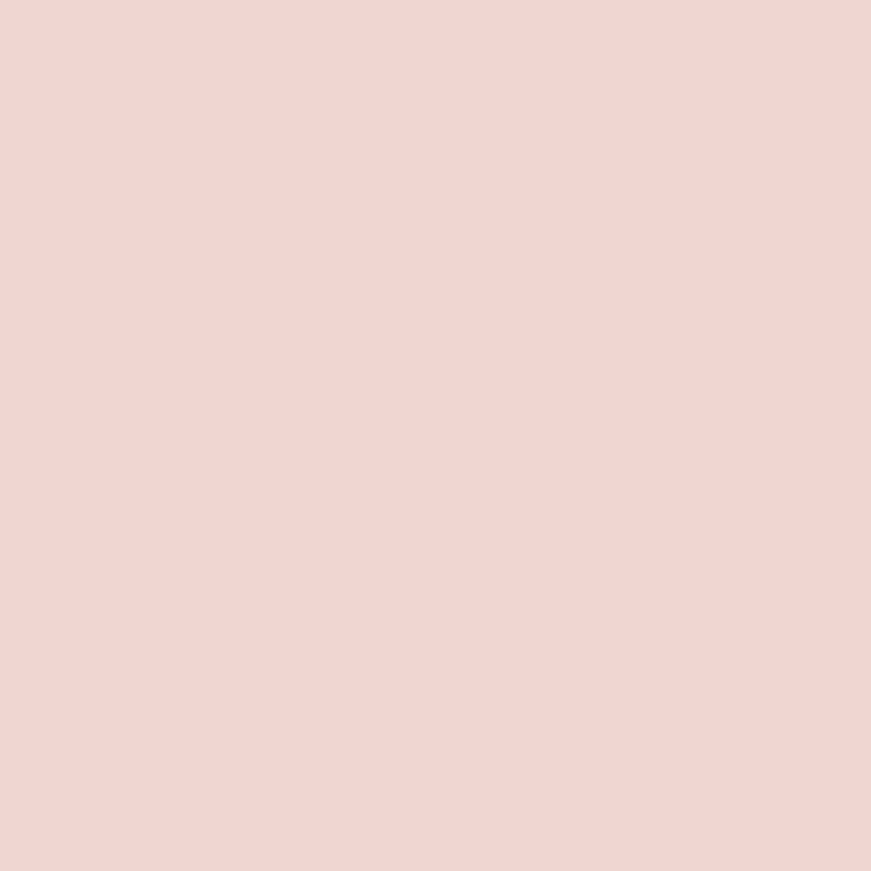 Ceiling Paint - Tea Party