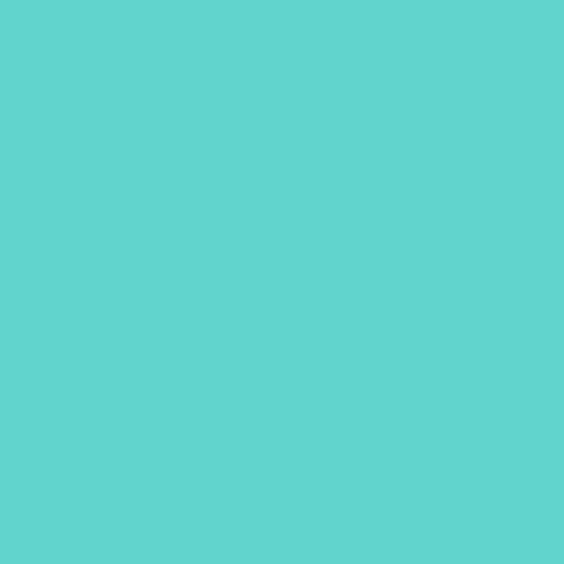 Enamel & Exterior Paint - The Bach