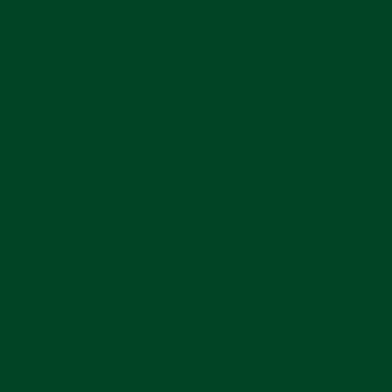 Enamel & Exterior Paint - Travel Bug