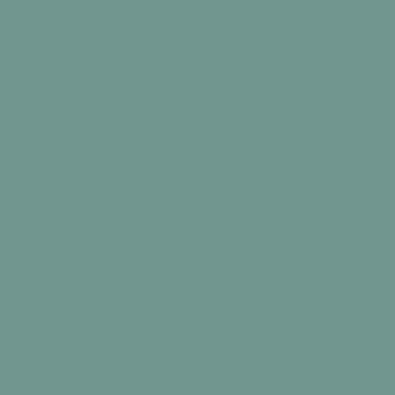 Enamel & Exterior Paint - Trend Setter