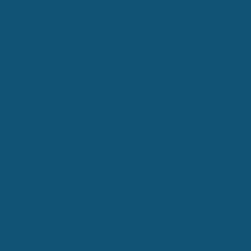 Enamel & Exterior Paint - Tui