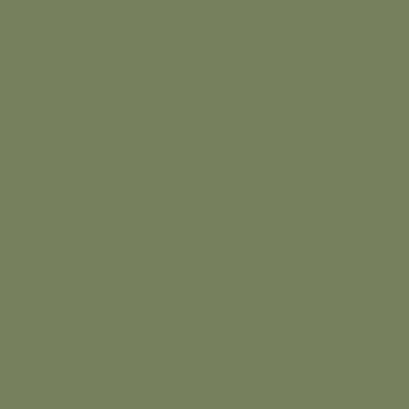 Enamel & Exterior Paint - Veggie Shop