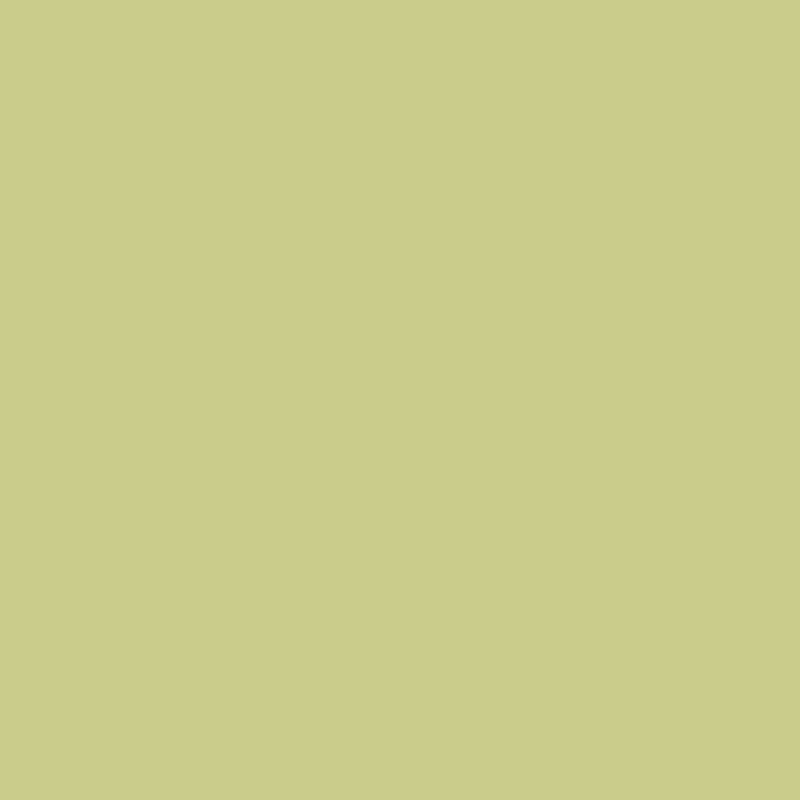 Enamel & Exterior Paint - Vibing